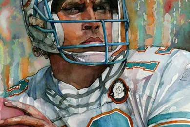 Dan Marino Watercolor By Michael Pattison By MichaelPattison On ...