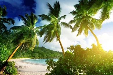Seychelles, Mahe Island, Takamaka Beach, Tropical, Palms, Sea ...