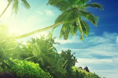 Tropical Beach Live Wallpapers   Android Apps And Tests   AndroidPIT
