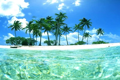 Tropical Wallpapers 1   Best Wallpapers Collection