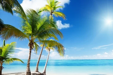 Tropical Beach Paradise HD Desktop Wallpapers : Widescreen : High ...