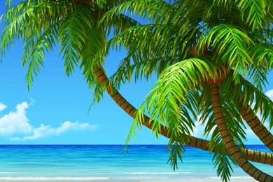 Breath Taking Tropical Beach HD Desktop Wallpapers : Widescreen ...