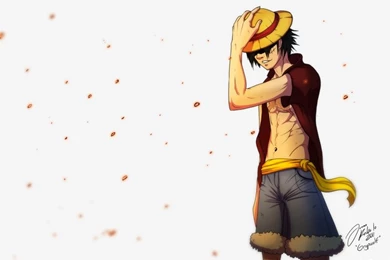 Wallpapers Monkey D Luffy Go X One Piece 800x600