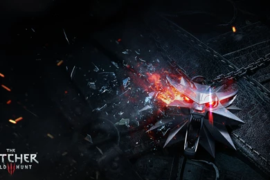 307 The Witcher 3: Wild Hunt HD Wallpapers