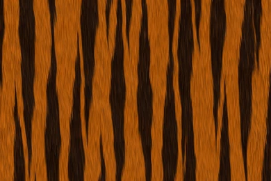 Download Texture: Tiger, Skin Tiger?, Tiger Animal Texture ...