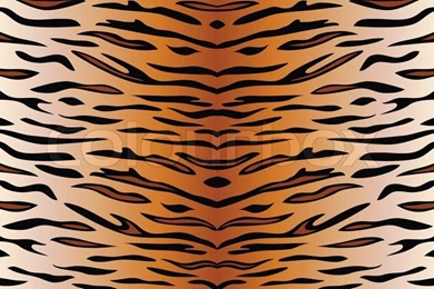 Vector Backgrounds Of Tiger Skin
