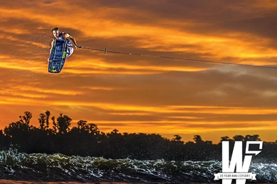 New Wallpapers Just Landed!