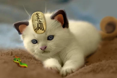 Pokecats Series 1 Meowth By OwOLinksu On DeviantArt