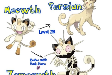 Meowth Pokemon HD Wallpapers 14