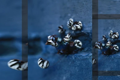 Deep Blue Wallpapers 889626