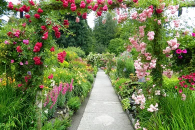 Dancing 'Cross The Country: Butchart Gardens: Part I