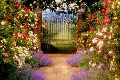 Country Home Gardens