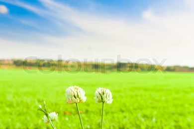 Beautiful Wallpapers Near Horizon Farming