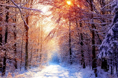 Winter season wallpaper for desktop