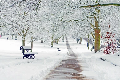 10 Stunning Winter Season HD Wallpapers