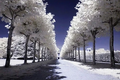 Jestingstock.com Image Winter Season