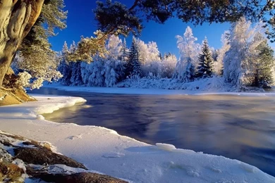Winter Season HD Wallpapers 1000x777px