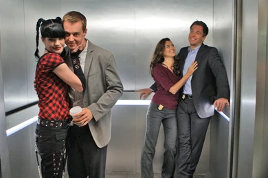 NCIS Wallpapers   NCIS Wallpapers (25933122)   Fanpop