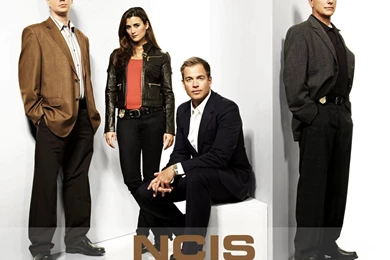 NCIS Wallpapers   NCIS Wallpapers (13737949)   Fanpop