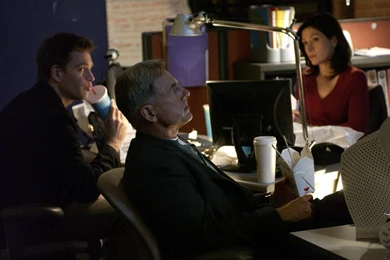 NCIS Wallpapers   NCIS Wallpapers (25930577)   Fanpop