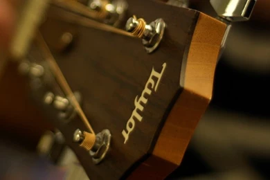 Taylor 414ce Headstock