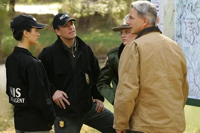 NCIS Wallpapers   Mark Harmon Wallpapers (38616501)   Fanpop