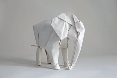 White Elephant