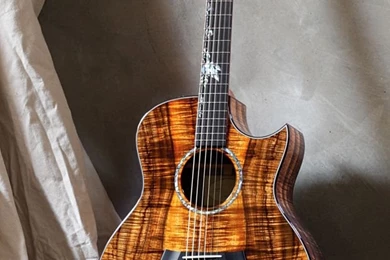 Taylor Guitars On Pinterest