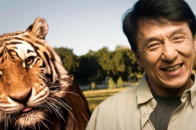 Jackie Chan HD Wallpapers Download Free   Watch Your Star