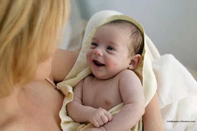 Category: Wallpapers Wallpapers