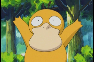 Gotta Catch 'em All Pokemon