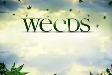 Weeds Wallpapers And Images   Wallpapers, Pictures, Photos