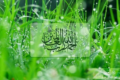 Beautiful And Attractive Islamic Desktop WallpapersPhotography ...