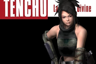 Wallpapers Heaven Tenchu Wrath Of Photo 1024x768