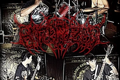 Paramore HD Desktop Wallpapers Tumblr Android Screensaver iPhone ...