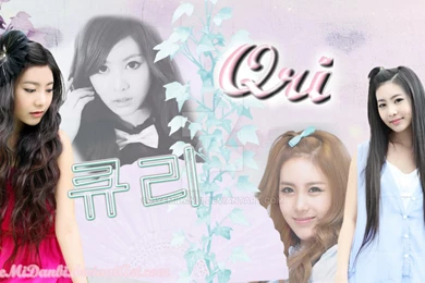 Qri T ara Wallpapers By HyeMiDanbi On DeviantArt
