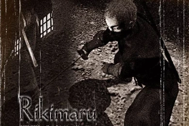 Art Body Collection: Wallpapers Tenchu