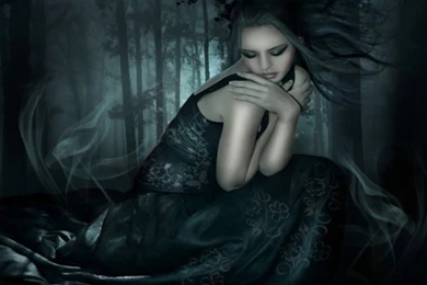 Dark Forest Computer Wallpapers, Desktop Backgrounds