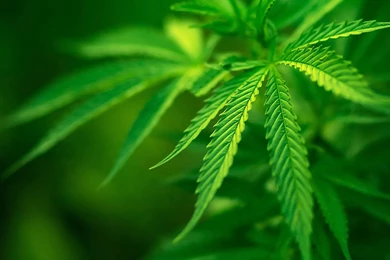 Lenovo Wallpapers — Free Full HD Wallpaper. Widescreen HQ Desktop ...