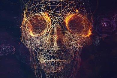 Digital Skull Artwork iPad Air Wallpapers Download