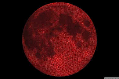 Red Planet Bing Images