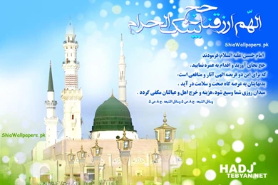 Wallpapers Madina Roza Rasool E Khuda Saww 1024x768
