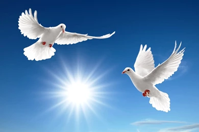 Computer Desktop Beautiful Backgrounds: Beautiful By Free Download ...