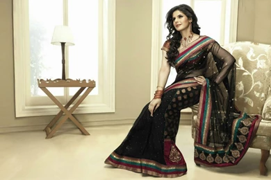 Hot Zarine Khan Saree Gorgeous Wallpapers And Pics