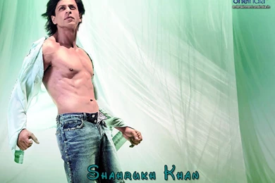 Wallpapers Provider: Shahrukh Khan   Set 01