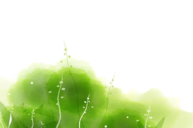 Bright Color Backgrounds Wallpapers (15)