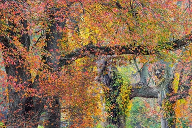 Photography   Desktop Wallpapers   National Geographic Magazine