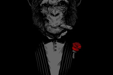 Chimpanzee Cigars Rose Mobile Wallpapers   Mobiles Wall