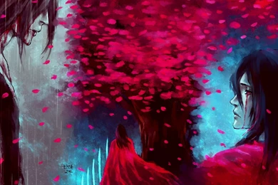 Art Guy Sakura Red Tree Back Rain Wallpapers