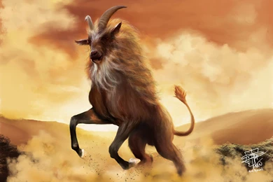 Capricorn Horoscope Wallpapers HD Pictures